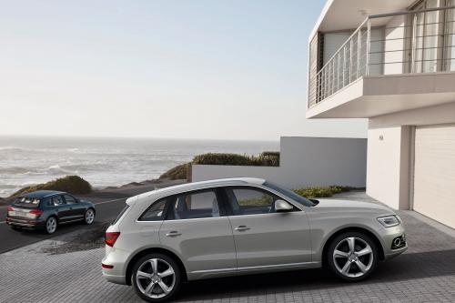 Audi Q5 SUV (2013) - picture 9 of 22