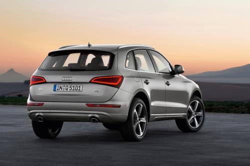 Audi Q5 SUV (2013) - picture 16 of 22