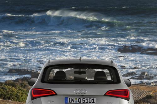 Audi Q5 SUV (2013) - picture 17 of 22