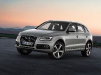 Audi Q5 SUV (2013) - picture 4 of 22