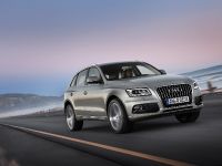 Audi Q5 SUV (2013) - picture 5 of 22