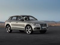 Audi Q5 SUV (2013) - picture 7 of 22