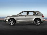 Audi Q5 SUV (2013) - picture 10 of 22