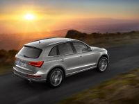 Audi Q5 SUV (2013) - picture 14 of 22