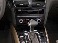 Audi Q5 SUV (2013) - picture 18 of 22