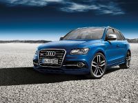 Audi SQ5 TDI Exclusive Concept (2013) - picture 1 of 3