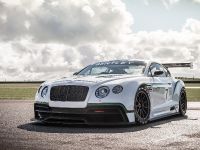Bentley Continental GT3 Concept Racer (2013) - picture 1 of 5