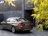 BMW 3-Series Li (2013) - picture 4 of 25