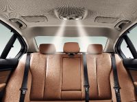 BMW 3-Series Li (2013) - picture 19 of 25