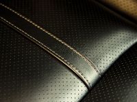 Chrysler 300C John Varvatos Limited Edition (2013) - picture 11 of 23