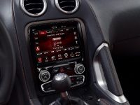 Dodge SRT Viper (2013) - picture 30 of 48