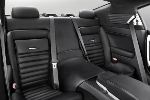 Equus Bass 770 (2013) - picture 9 of 13