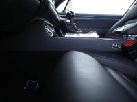 Equus Bass 770 (2013) - picture 11 of 13