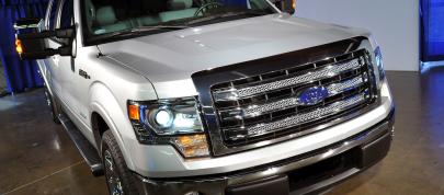 Ford F-150 Lariat (2013) - picture 7 of 23