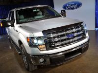 Ford F-150 Lariat (2013) - picture 7 of 23