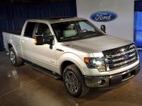 Ford F-150 Lariat (2013) - picture 8 of 23