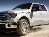 Ford F-150 Lariat (2013) - picture 10 of 23