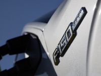 Ford F-150 Lariat (2013)