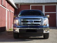 Ford F-150 XLT (2013) - picture 3 of 11