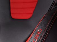 Ford Fiesta ST (2013)