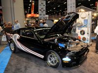 Ford Mustang Cobra Jet (2013) - picture 1 of 5