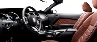 Ford Mustang GT facelift (2013) - picture 12 of 17