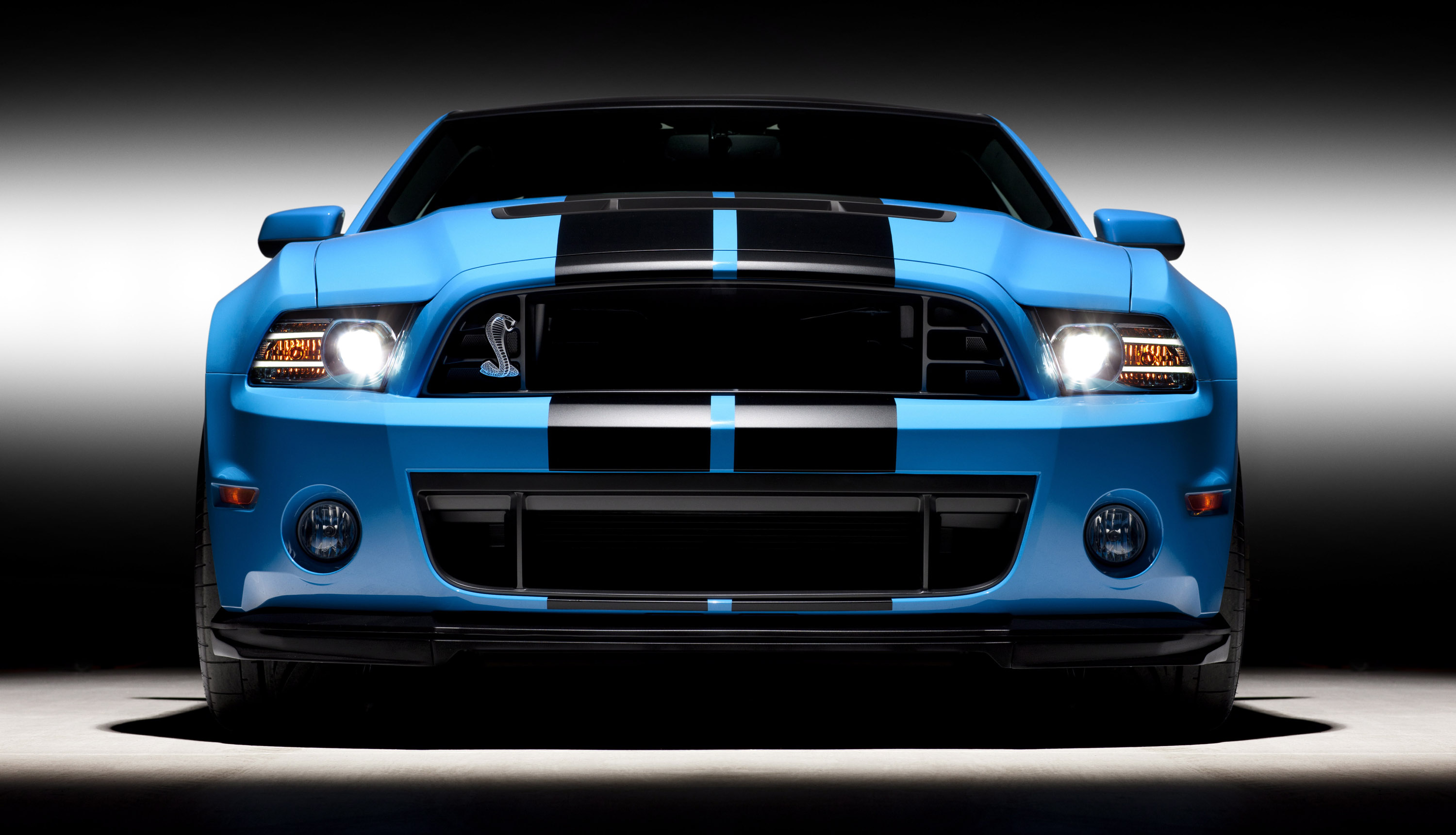 Ford Shelby GT500