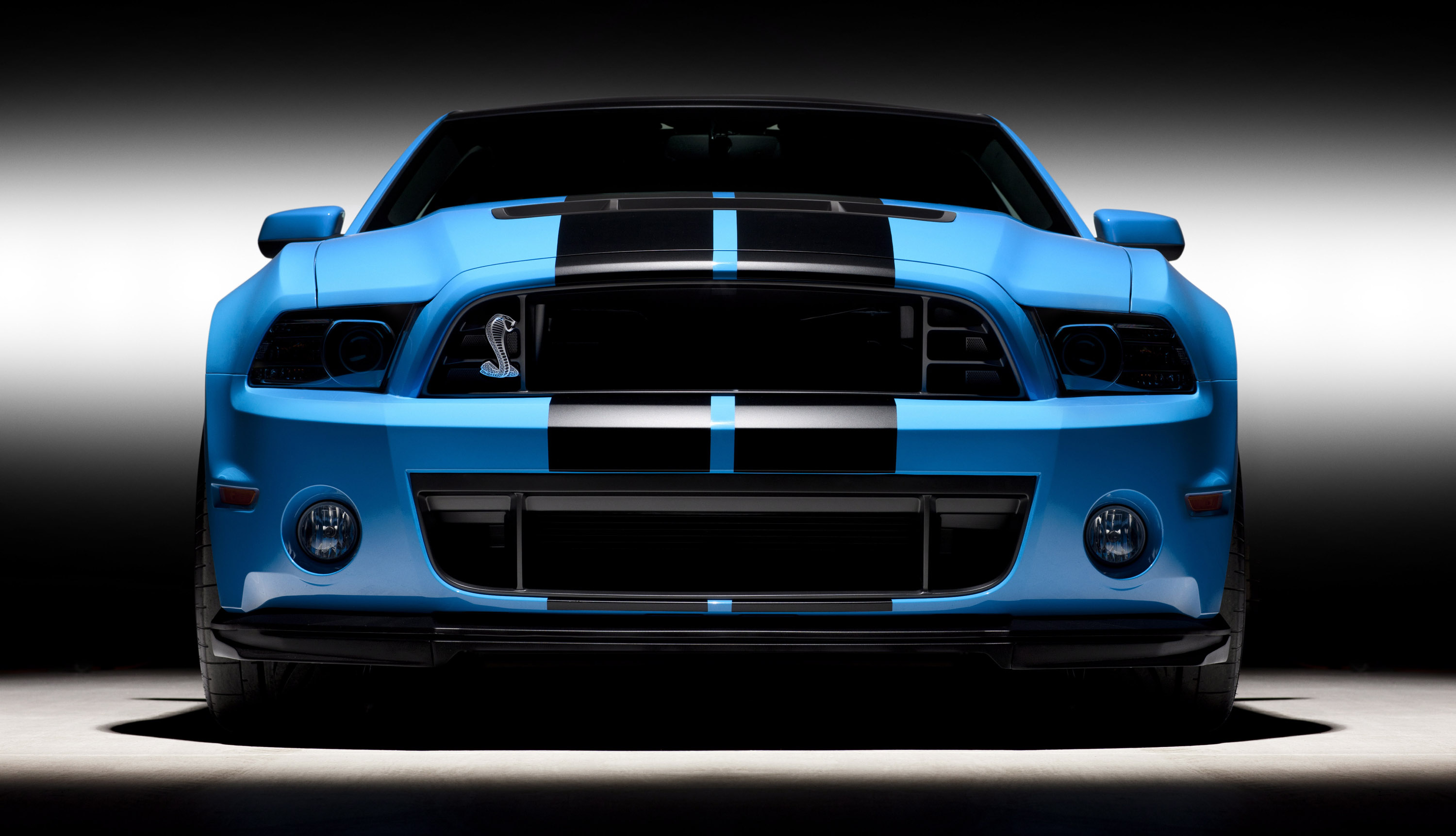 Ford Shelby GT500