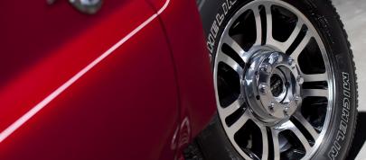 Ford Super Duty Platinum (2013) - picture 31 of 34