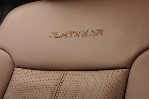 Ford Super Duty Platinum (2013) - picture 25 of 34