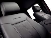 Ford Super Duty Platinum (2013) - picture 18 of 34