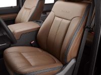 Ford Super Duty Platinum (2013)