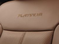 Ford Super Duty Platinum (2013)