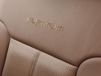 Ford Super Duty Platinum (2013) - picture 26 of 34