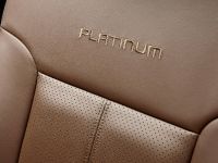 Ford Super Duty Platinum (2013) - picture 27 of 34