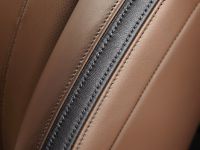 Ford Super Duty Platinum (2013)