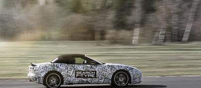 Jaguar F-Type Sports Car (2013) - picture 4 of 9