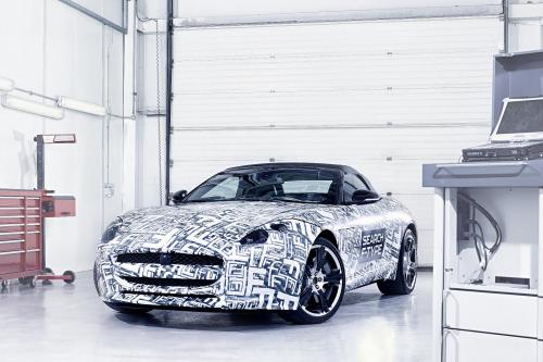 Jaguar F-Type Sports Car (2013) - picture 1 of 9