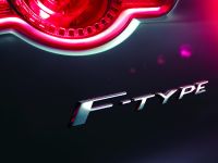 Jaguar F-Type Sports Car (2013)