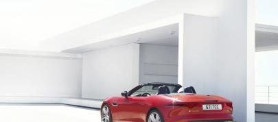 Jaguar F-Type (2013) - picture 4 of 30