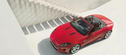 Jaguar F-Type (2013) - picture 7 of 30