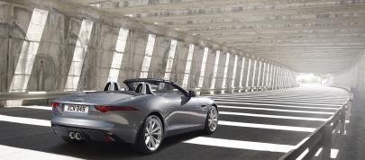 Jaguar F-Type (2013) - picture 12 of 30