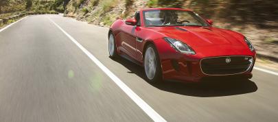 Jaguar F-Type (2013) - picture 15 of 30