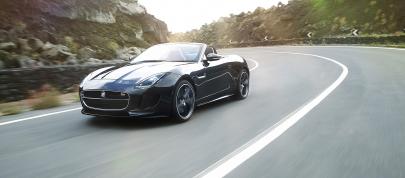 Jaguar F-Type (2013) - picture 20 of 30