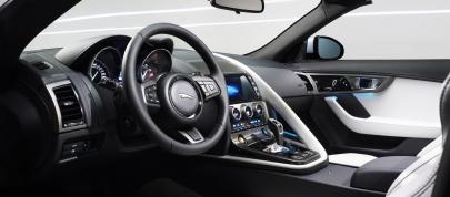 Jaguar F-Type (2013) - picture 23 of 30