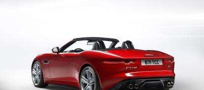 Jaguar F-Type (2013) - picture 28 of 30