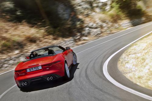Jaguar F-Type (2013) - picture 16 of 30