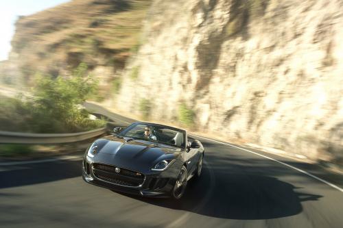 Jaguar F-Type (2013) - picture 17 of 30