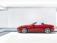 Jaguar F-Type (2013) - picture 3 of 30