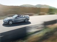 Jaguar F-Type (2013) - picture 11 of 30